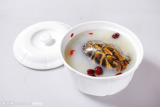 青蒿甲魚湯